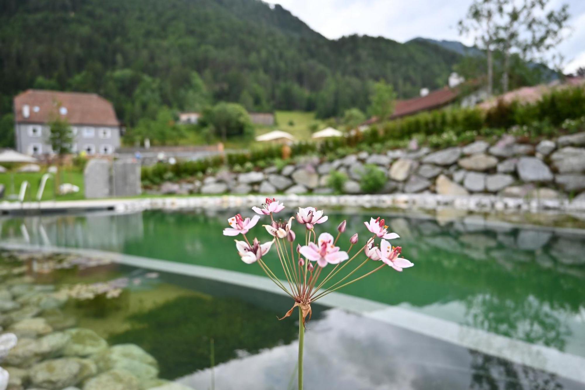Tilia Living - B&B Mit Dem Komfort Eines Kleinen, Feinen Hotels Ried im Oberinntal Dış mekan fotoğraf